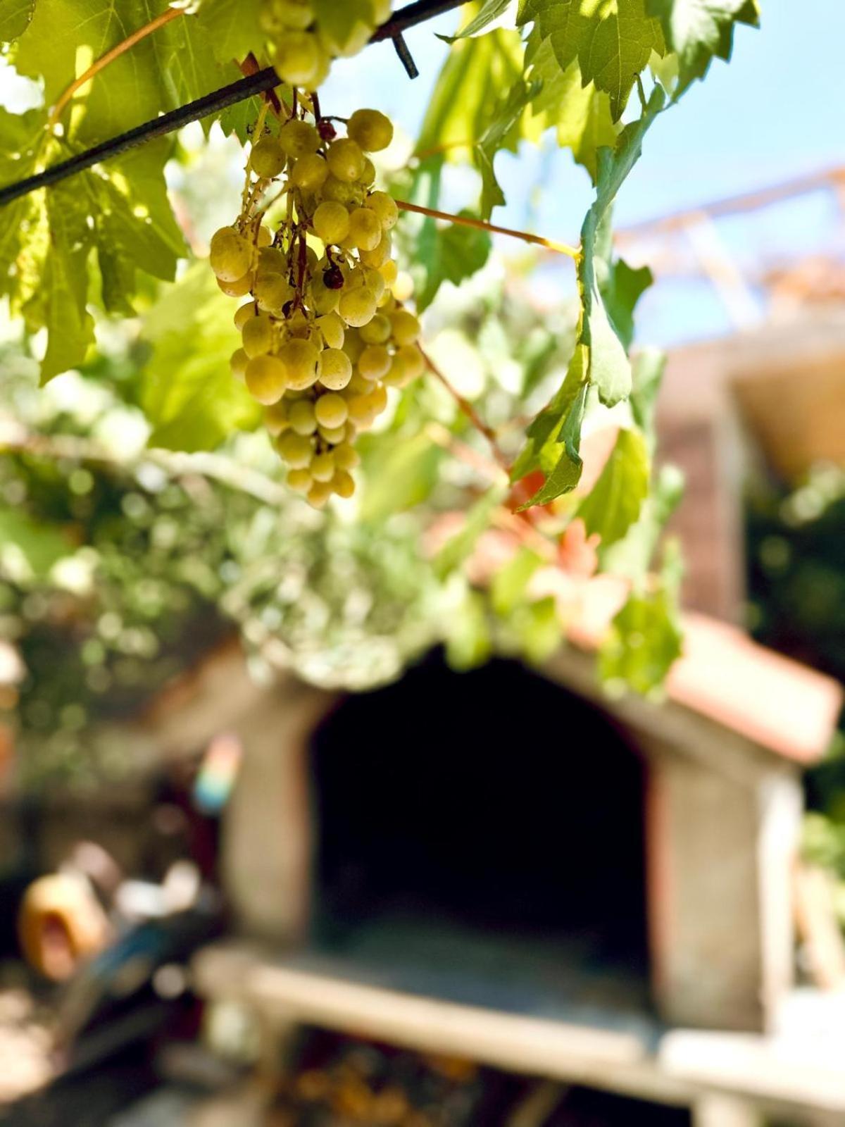 Charming Carmen Apartment คาชเตลา ภายนอก รูปภาพ